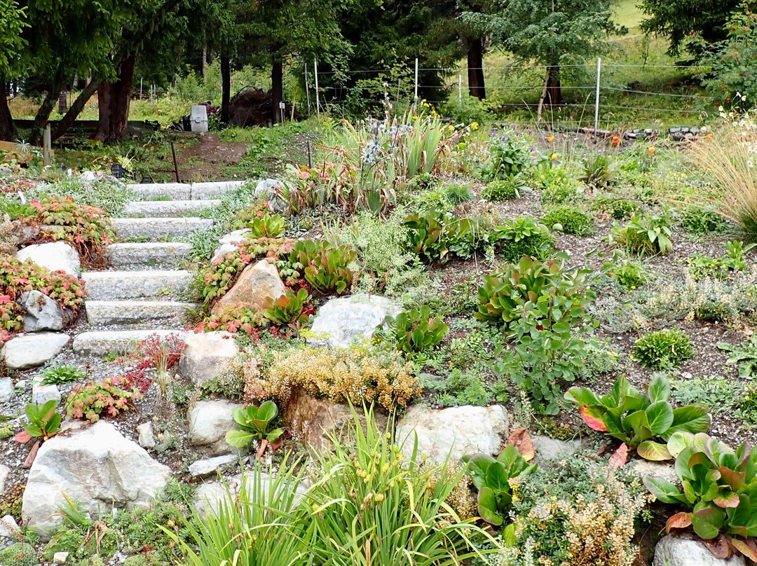 Botanical Garden Alpinum Schatzalp-Davos Platz必去景点