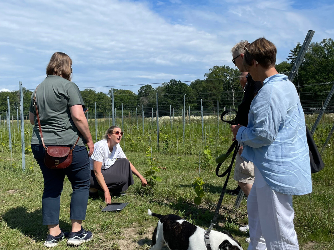 Mälsåker Vingård-Stallarholmen必去景点