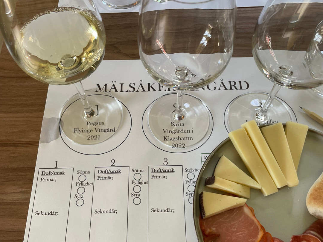 Mälsåker Vingård-Stallarholmen必去景点