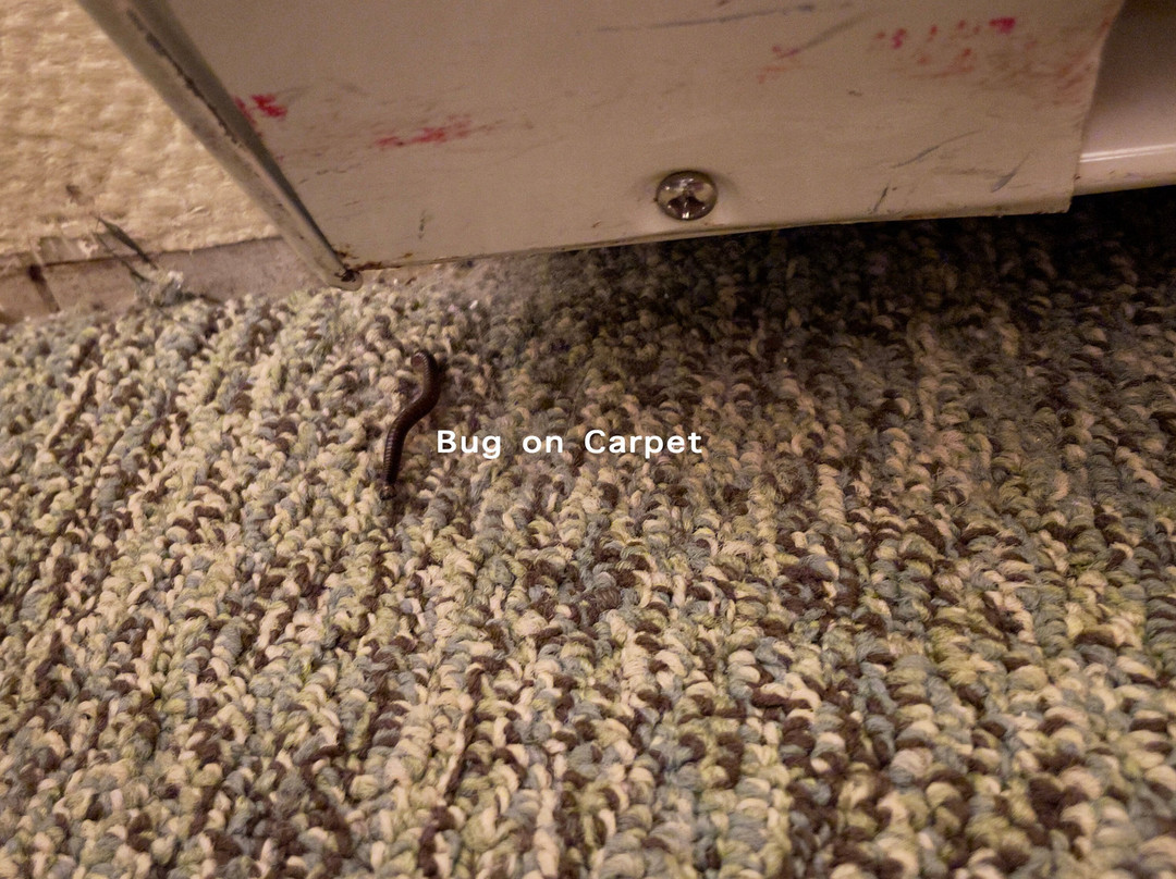 Ocean Crest Resort主图