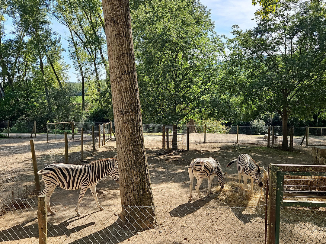 Leo Wild Park-托迪必去景点