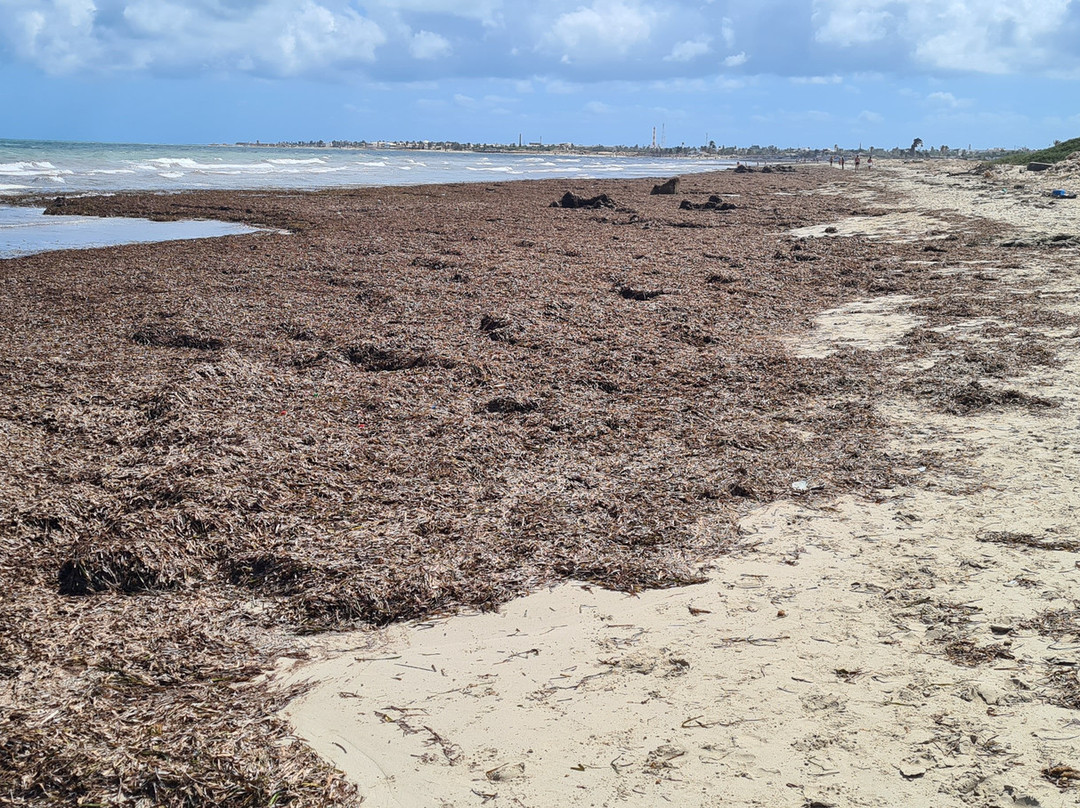 杰尔巴广场酒店主图
