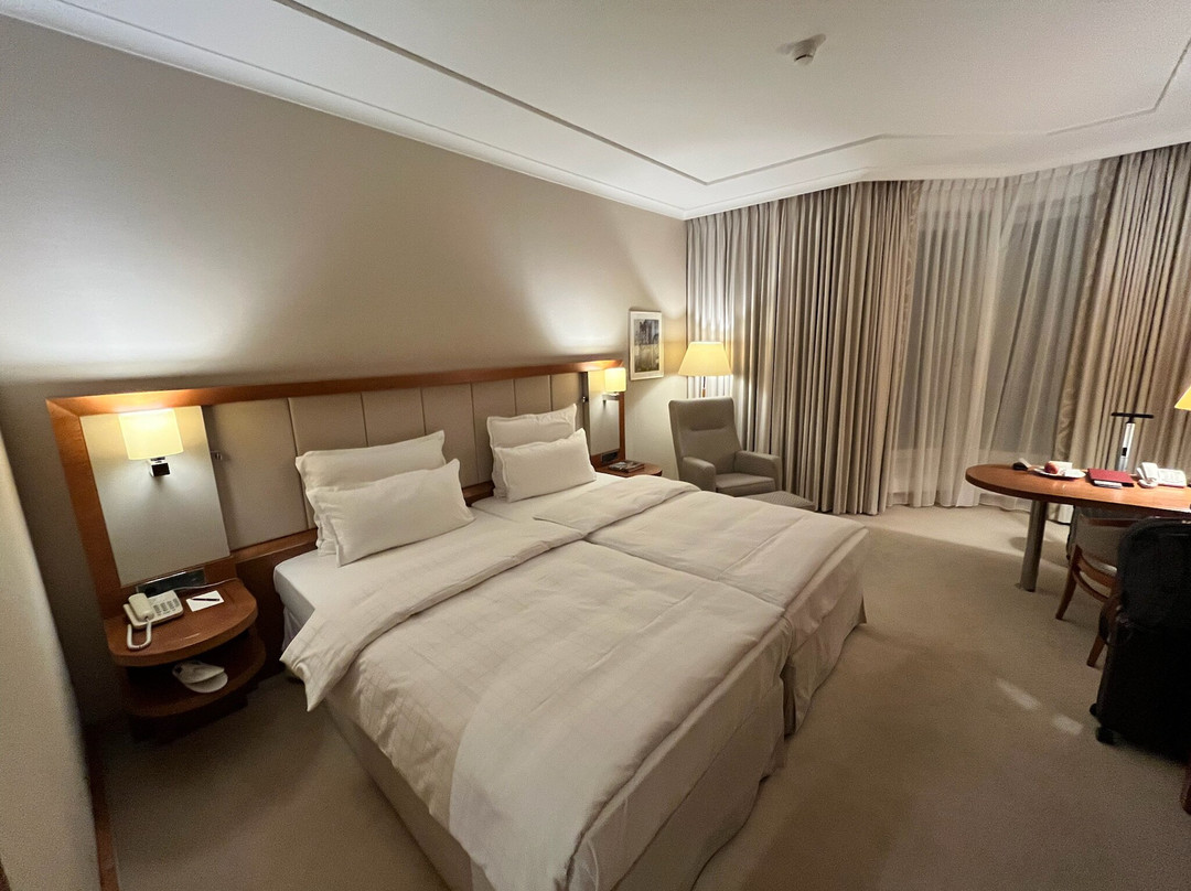 汉堡爱丽舍酒店主图