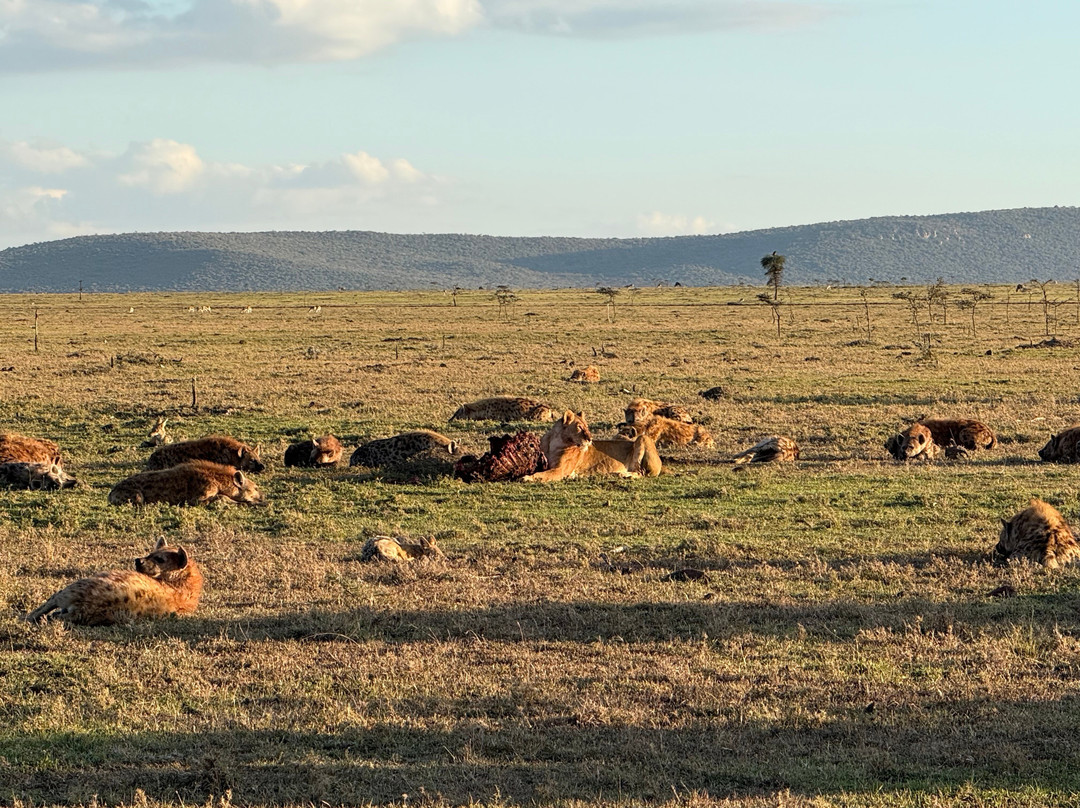Seremara Safaris-Karen必去景点