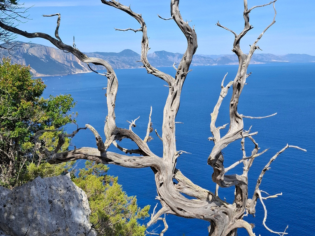 Selvaggio Blu-撒丁岛必去景点