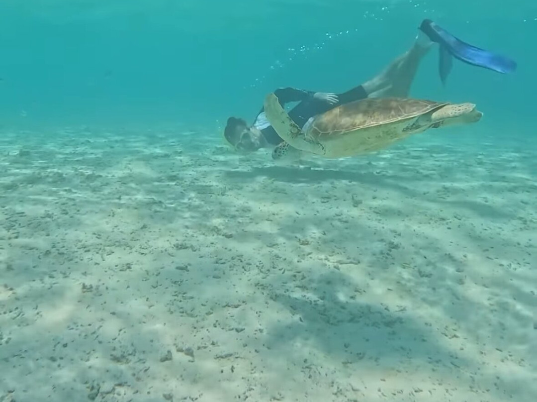 Ocean Mantra Retreats-拉斯胡必去景点