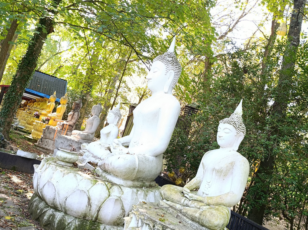 Wat Thammapathip-Moissy-Cramayel必去景点