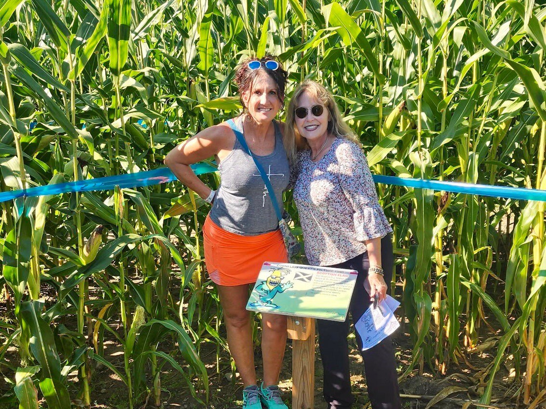 The Farm-Woodbury必去景点