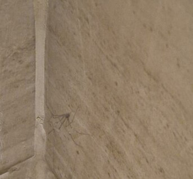 新巴达旅馆主图