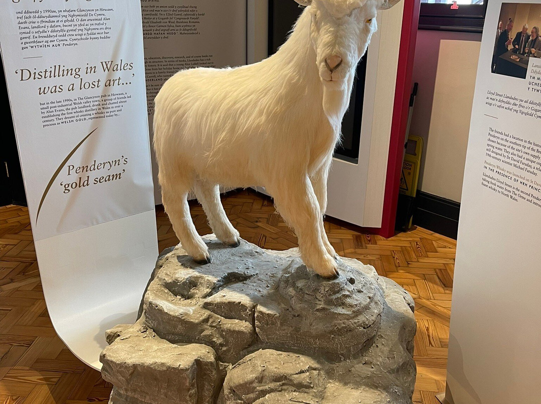 Penderyn Llandudno Lloyd St Distillery-兰迪德诺必去景点