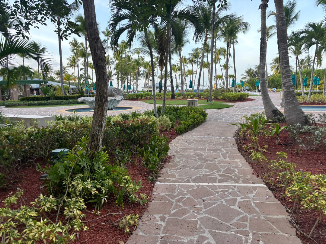 哈西恩德戴尔马尔凯悦酒店主图