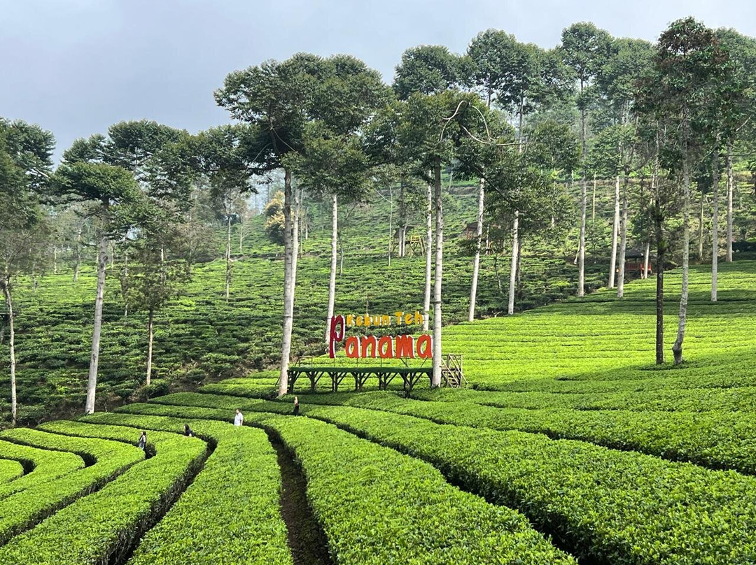 Jogja Explore Tours-日惹必去景点