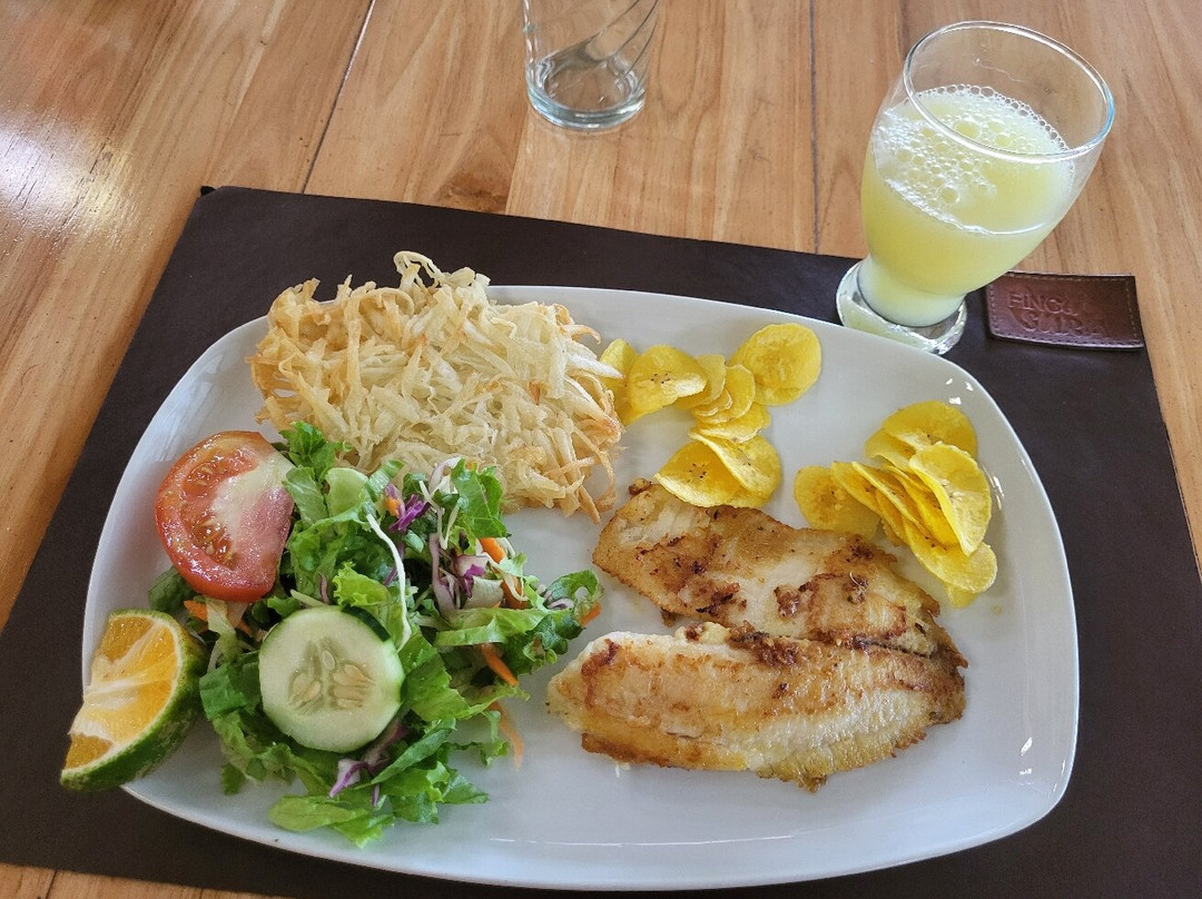 Finca Sura-Puerto Viejo de Sarapiqui必去景点