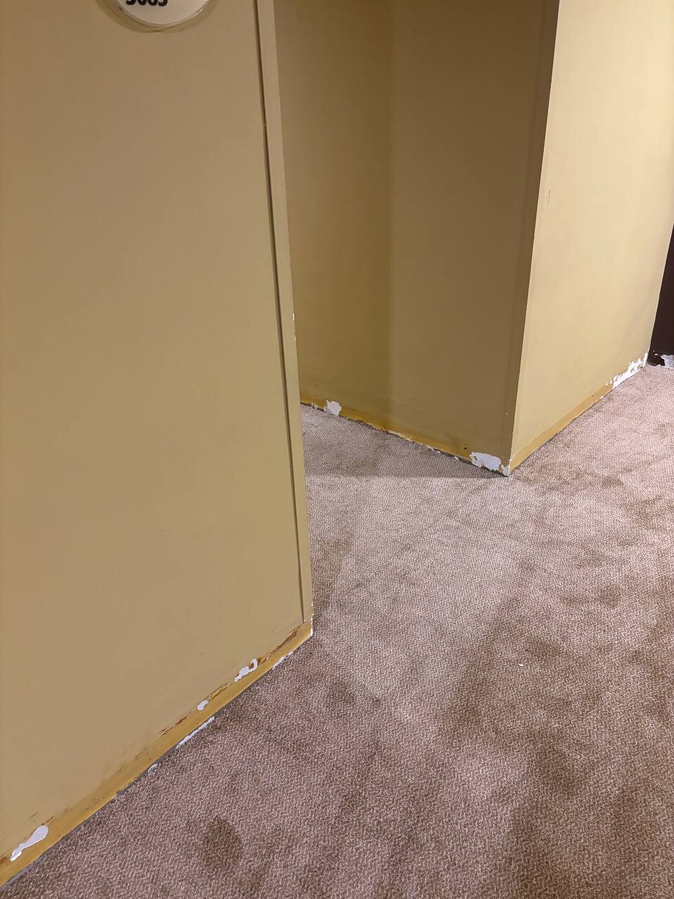 Concorde Green Park Palace-浴室