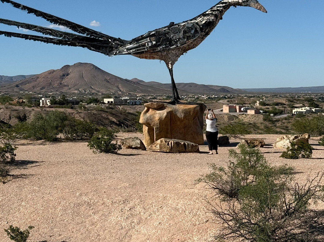 Days Inn by Wyndham Las Cruces主图