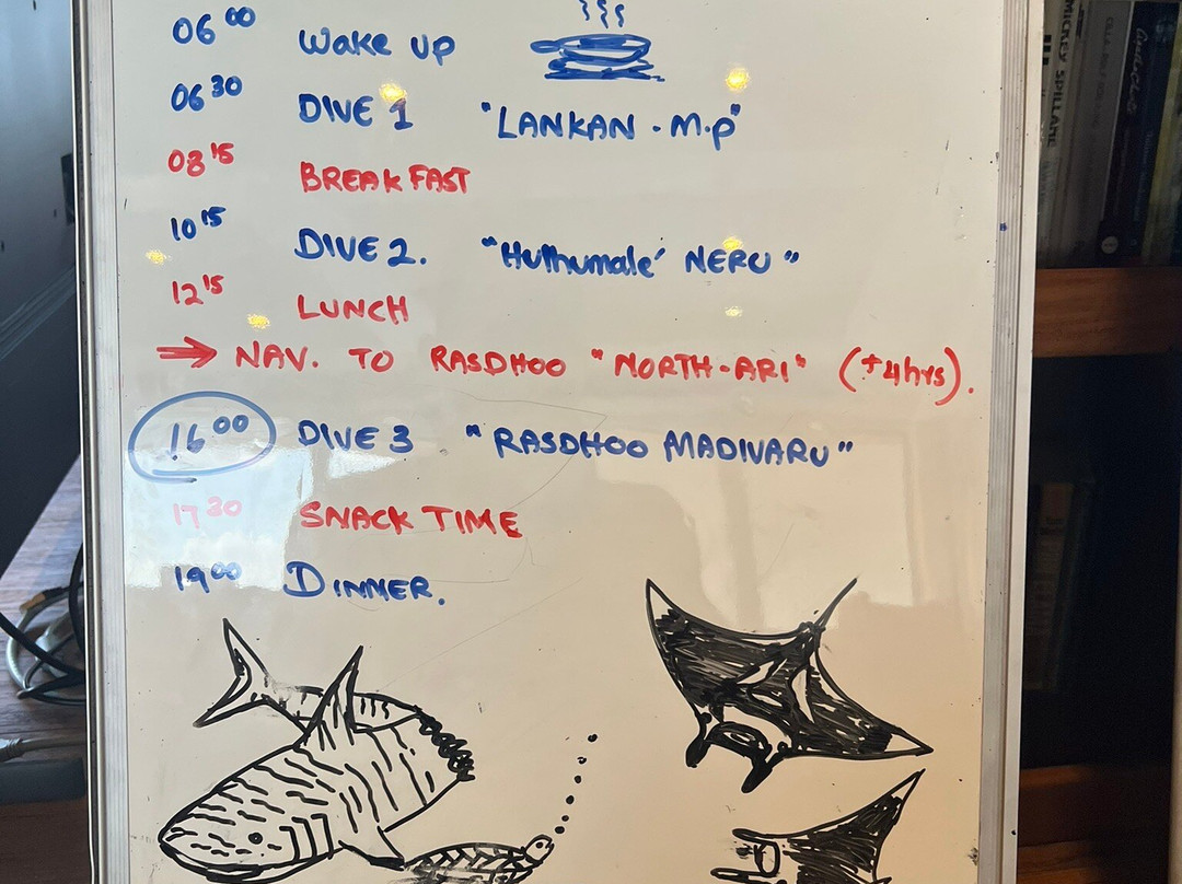 Adora Liveaboard, Maldives-马累必去景点