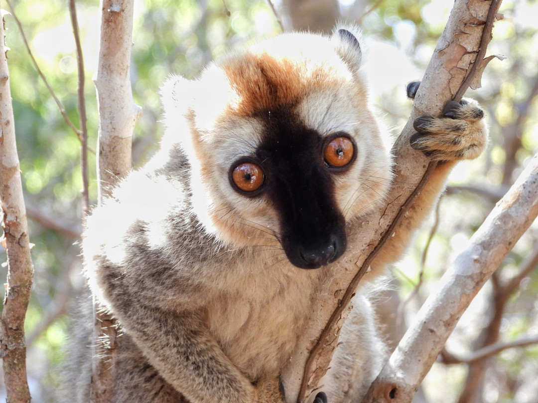 Soul of Madagascar Tours-Toamasina (Tamatave)必去景点