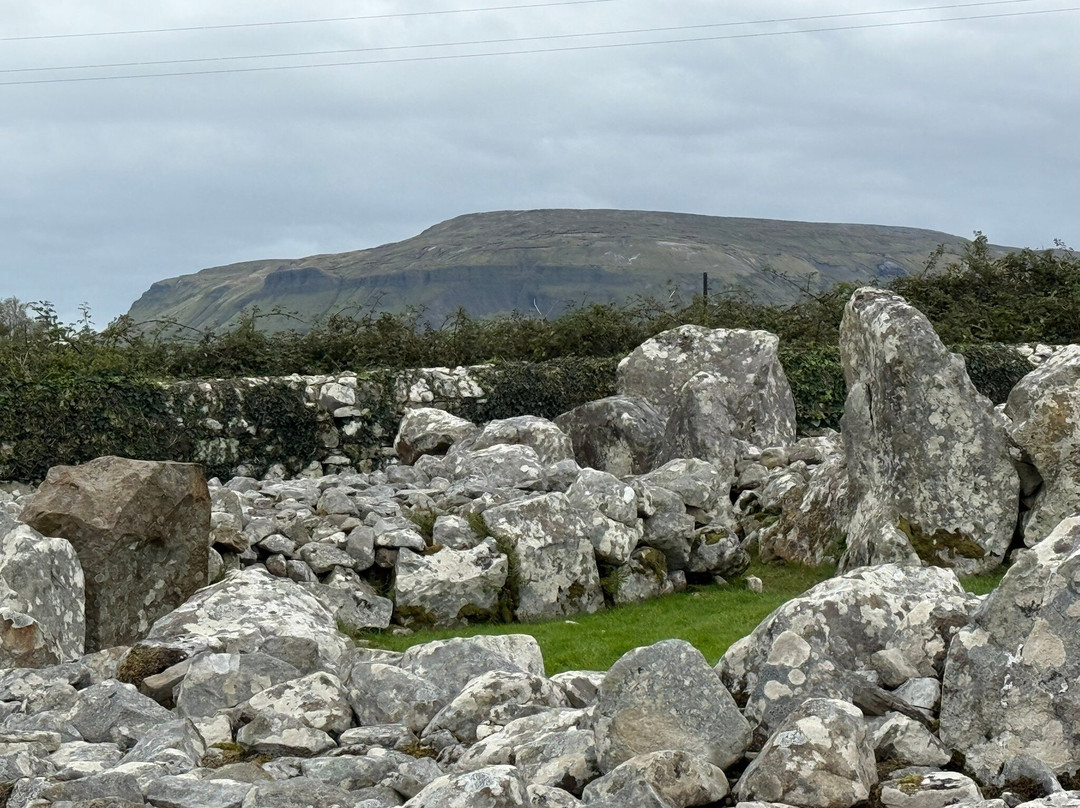 Butlers Private Driver Tours-科克必去景点