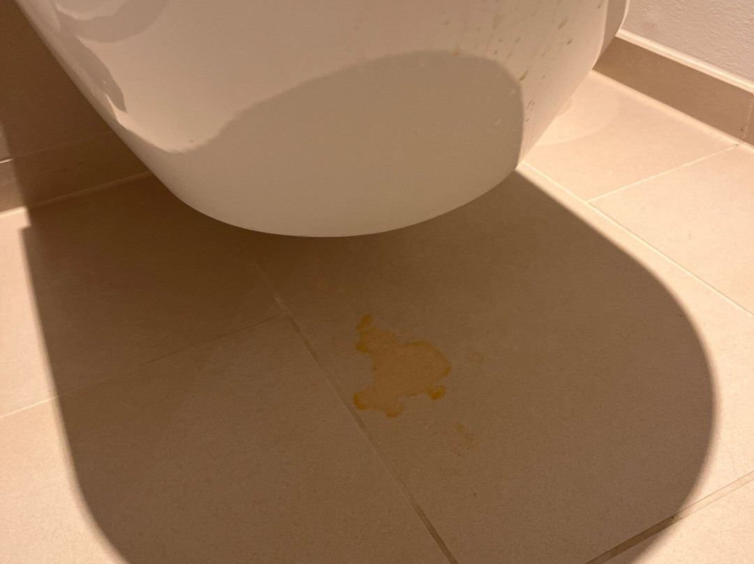 Dorint Frankfurt Oberursel主图