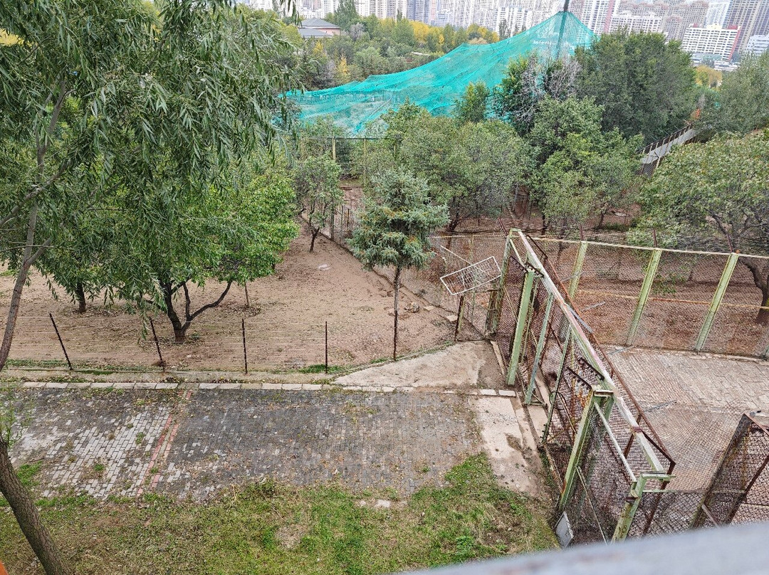 青藏高原野生动物园-西宁市必去景点