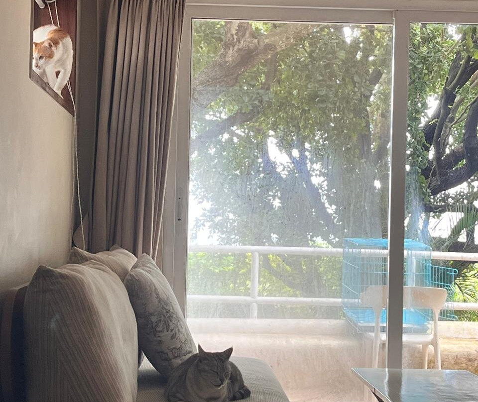 The Lighthouse主图