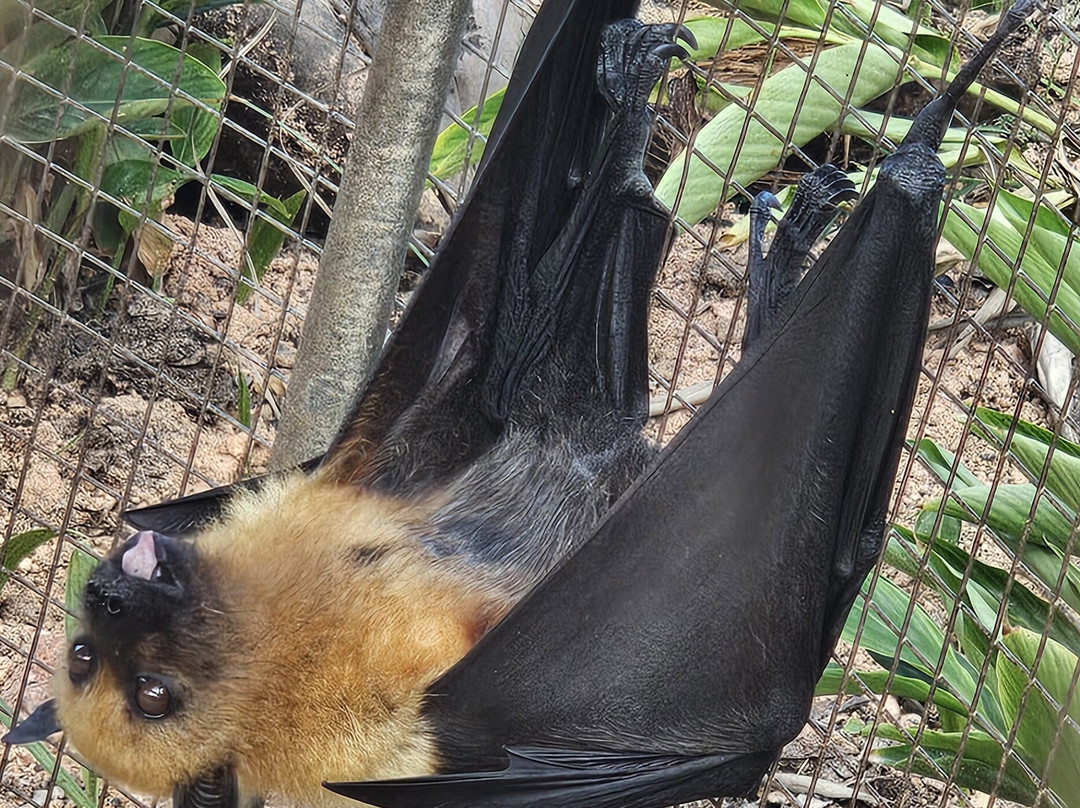 Praslin Museum-普拉兰岛必去景点
