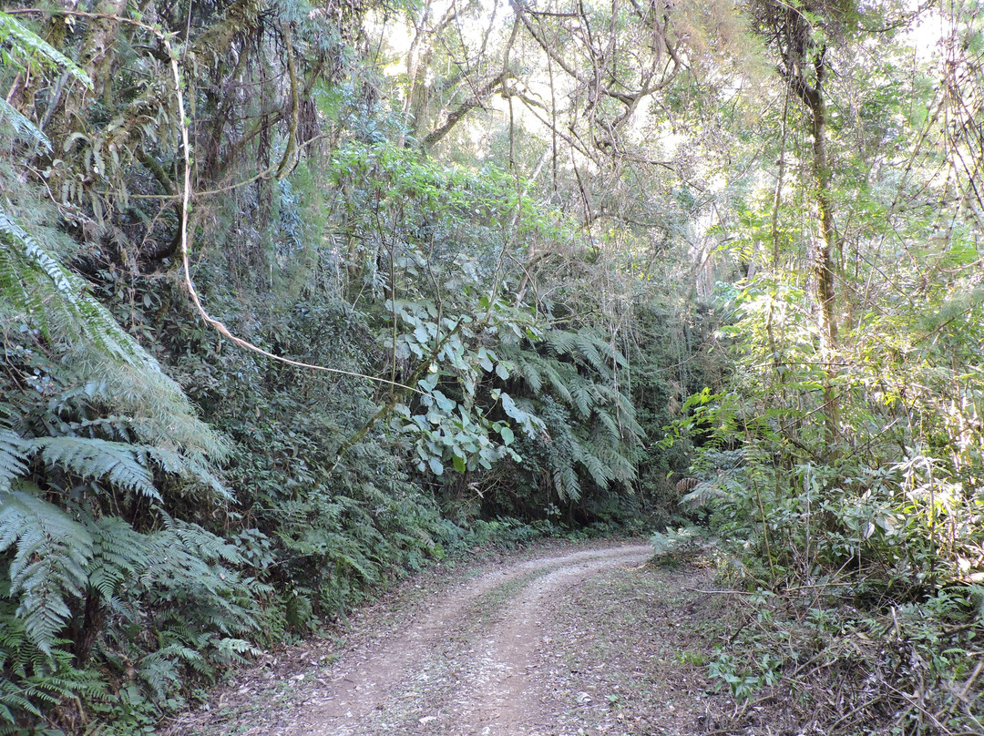Mirante da Serra da Lumber-Itarare必去景点