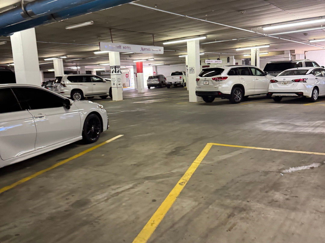 Augusta Marriott at the Convention Center主图