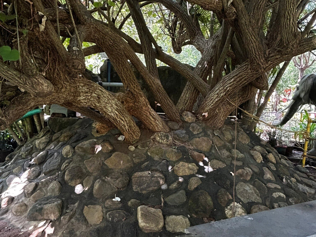 Fantasy Park-Palakkad必去景点