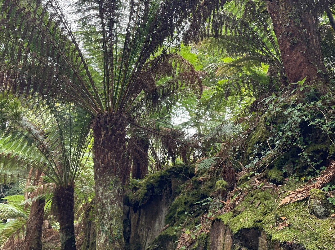 Kells Bay House And Gardens主图