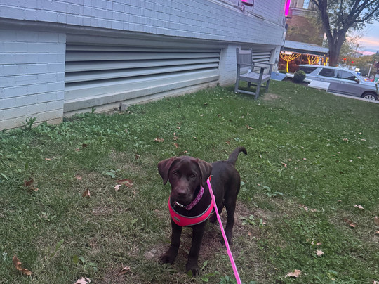 萨沃伊乔治敦套房酒店主图