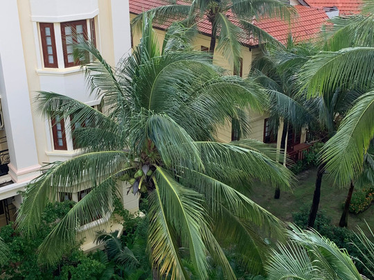 阳光海岸度假村主图