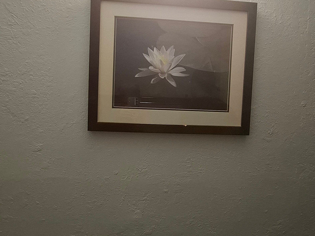 Baymont Inn And Suites By Wyndham Farmington主图