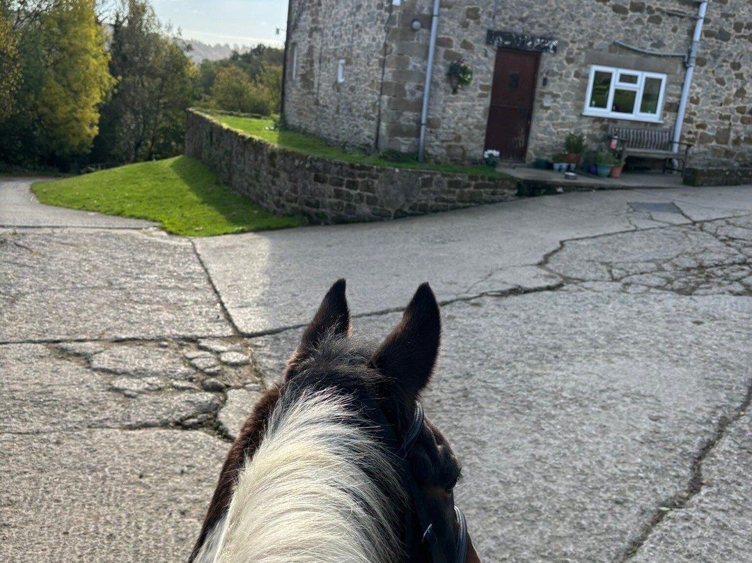 Bilsdale Riding Centre-Hawnby必去景点