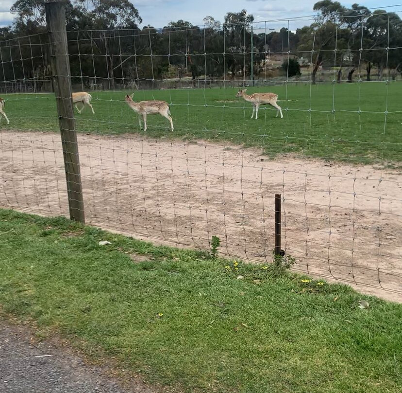 Chesterfield Farm-Scoresby必去景点