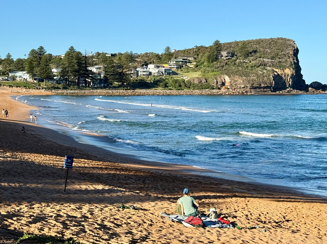 阿瓦隆海滩-Avalon Beach必去景点