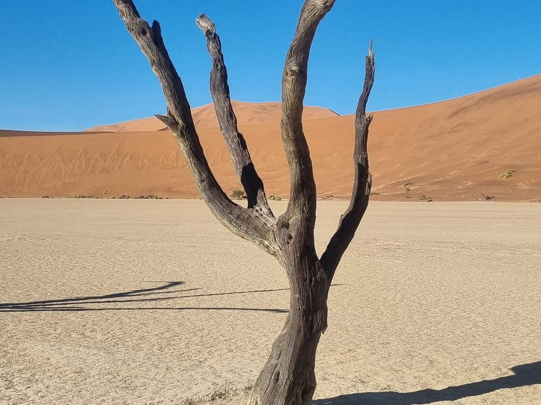 Deadvlei-苏丝斯黎必去景点