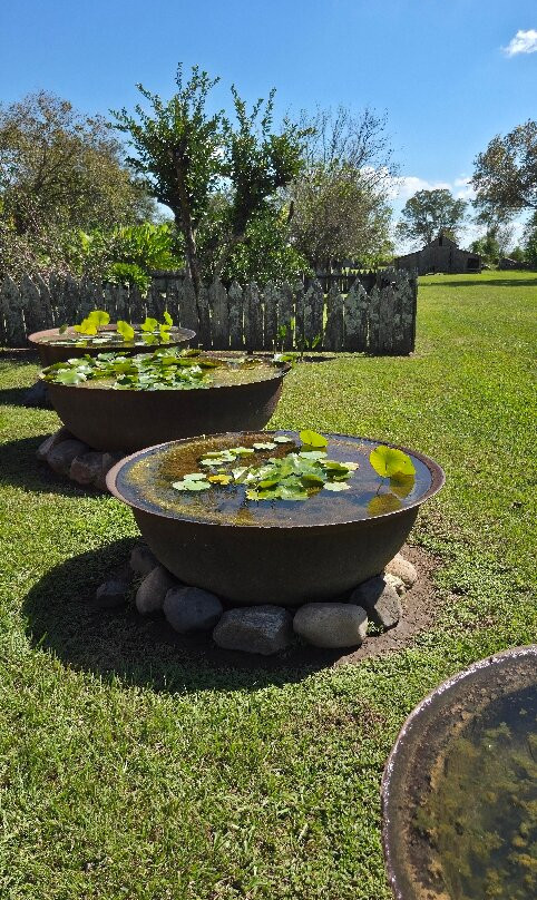 Tours by Isabelle-新奥尔良必去景点