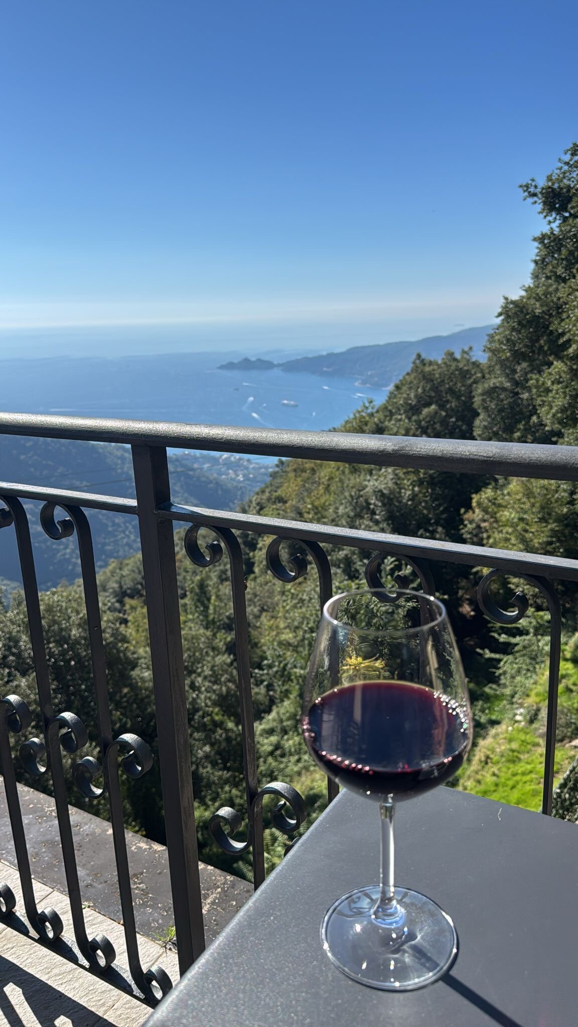 Hotel Ristorante Montallegro-官方
