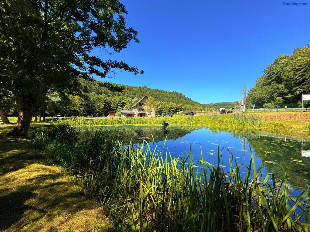 Domaine du Trèfle d'Or