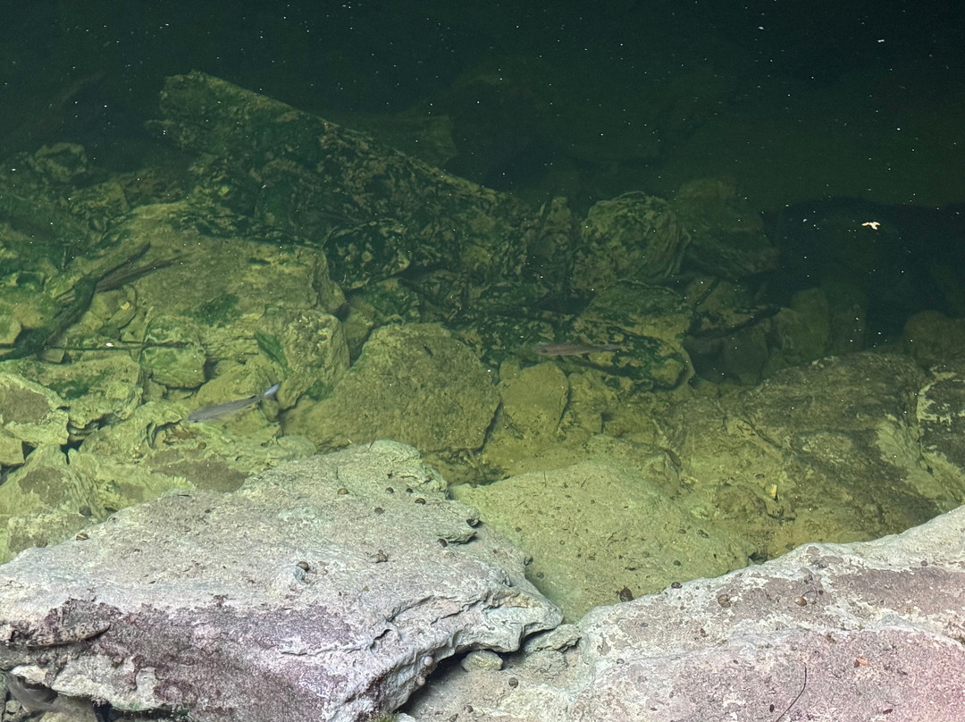 Lucayan National Park-大巴哈马岛必去景点