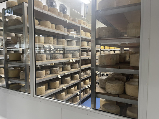 Smithton Visitor Information Centre