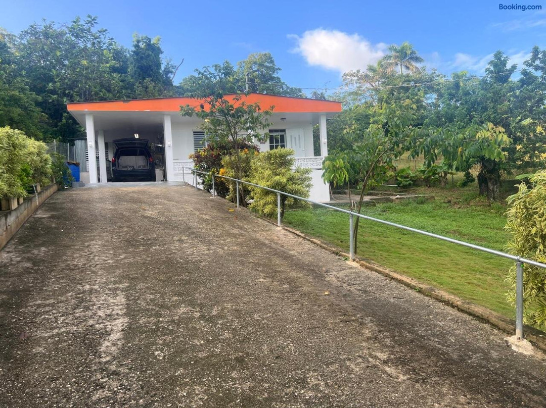 Coqui Del Corazón Guest House