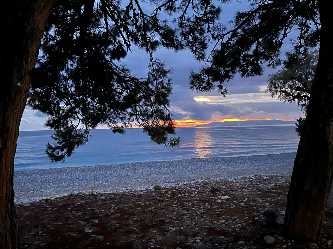 伊利斯酒店主图