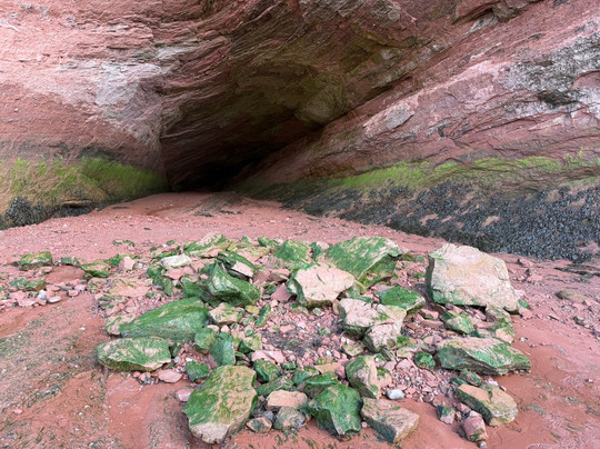 Hugo Bus Tours and Shore Excursions-圣约翰必去景点