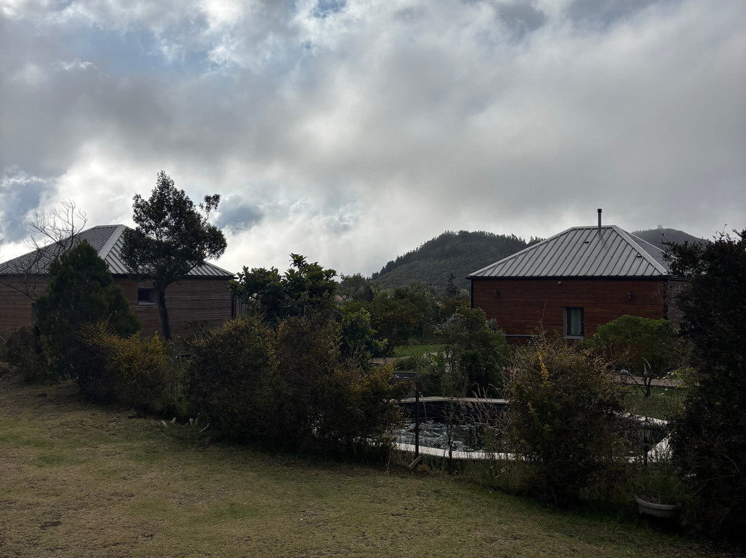 Alicalapa-Tenon Clement主图