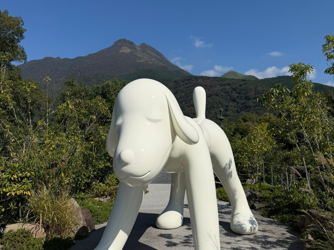 Comico Art Museum Yufuin-由布市必去景点