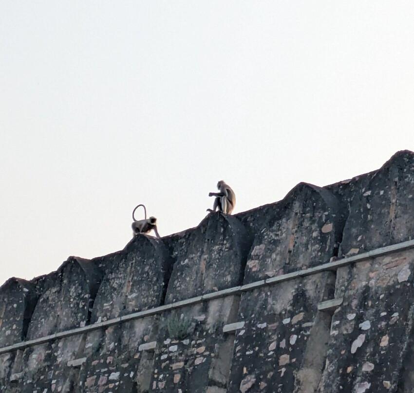 The Padmini Haveli主图