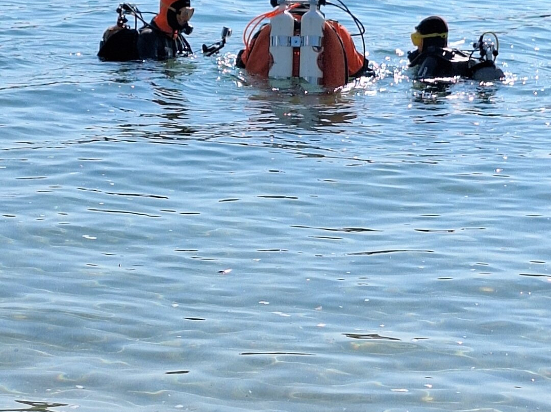 L'ArcaDive - Arcachon Plongee-Mios必去景点