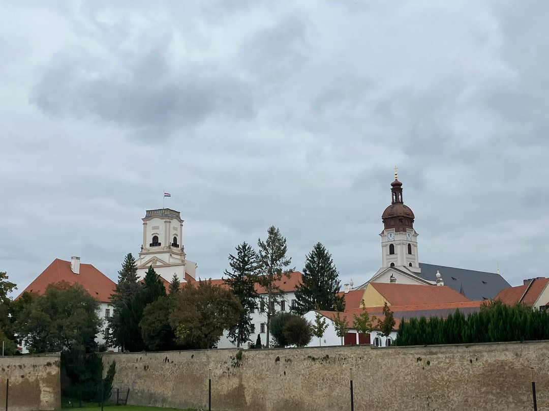 Gyor Old Town Area-焦尔必去景点